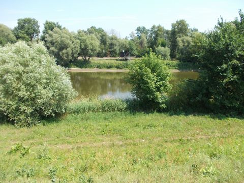 Foto 195